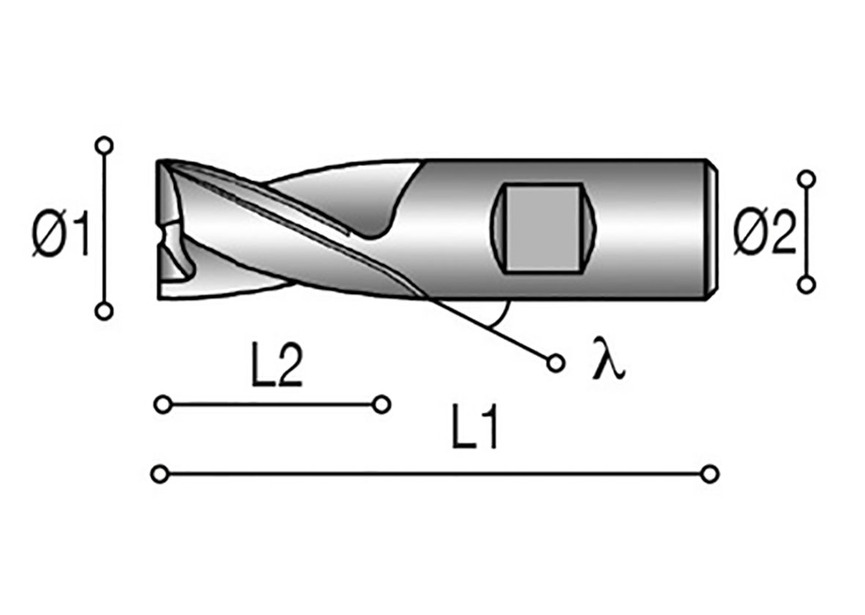 Fraises 2 lèvres - SF2L