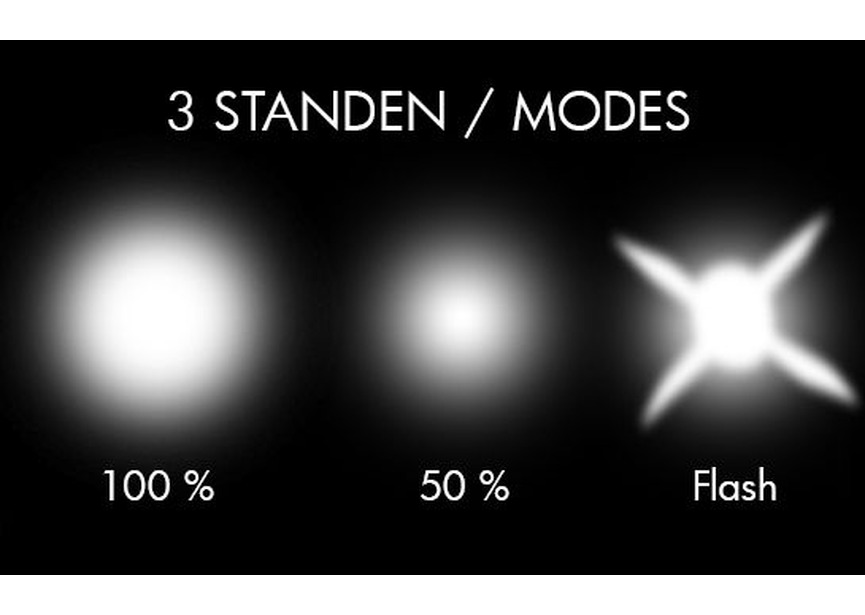 Présentoir avec 10 lampes frontales LED HL300 MW Tools - 8